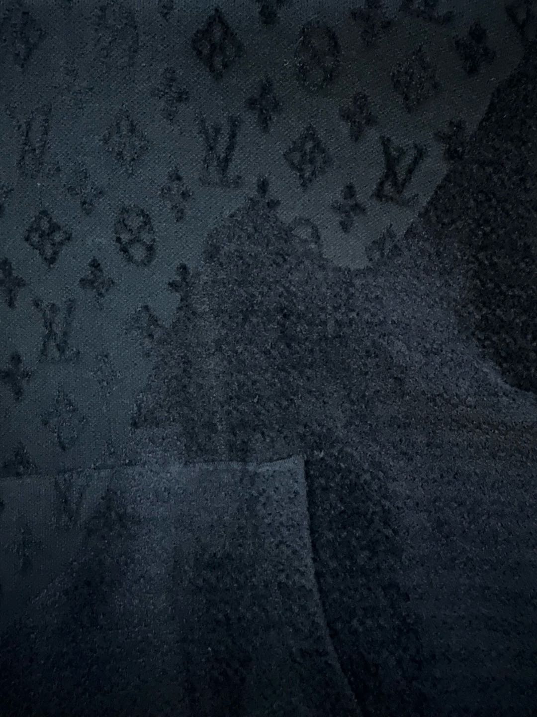 LOUIS VUITTON Graphic jacquard hoodie（1AHCMY）