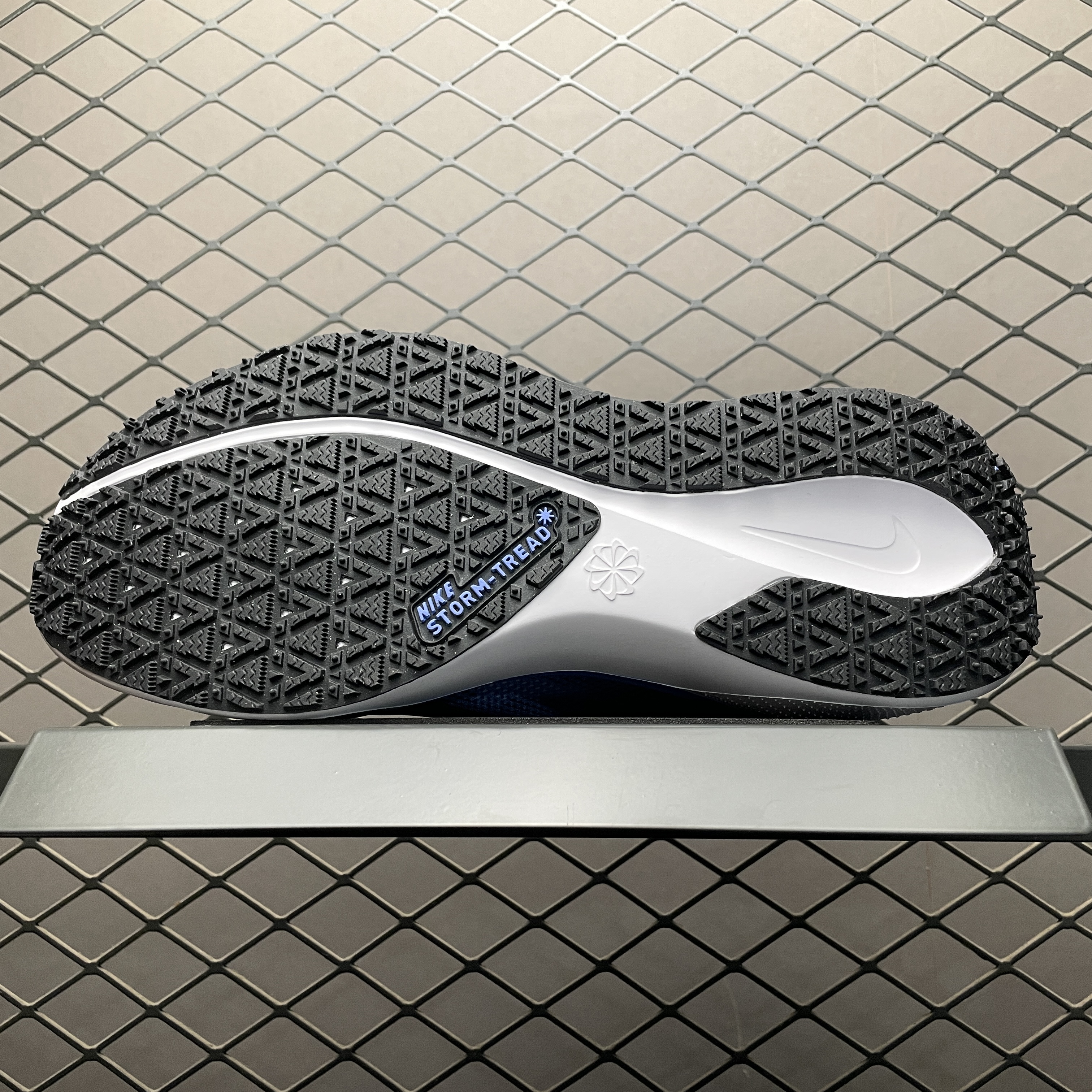 Nike Air Zoom Pegasus 41 GORE-TEX "Cobalt Bliss/Armory Navy/Royal Pulse/Metallic Red Bronze"（FQ1357-400）