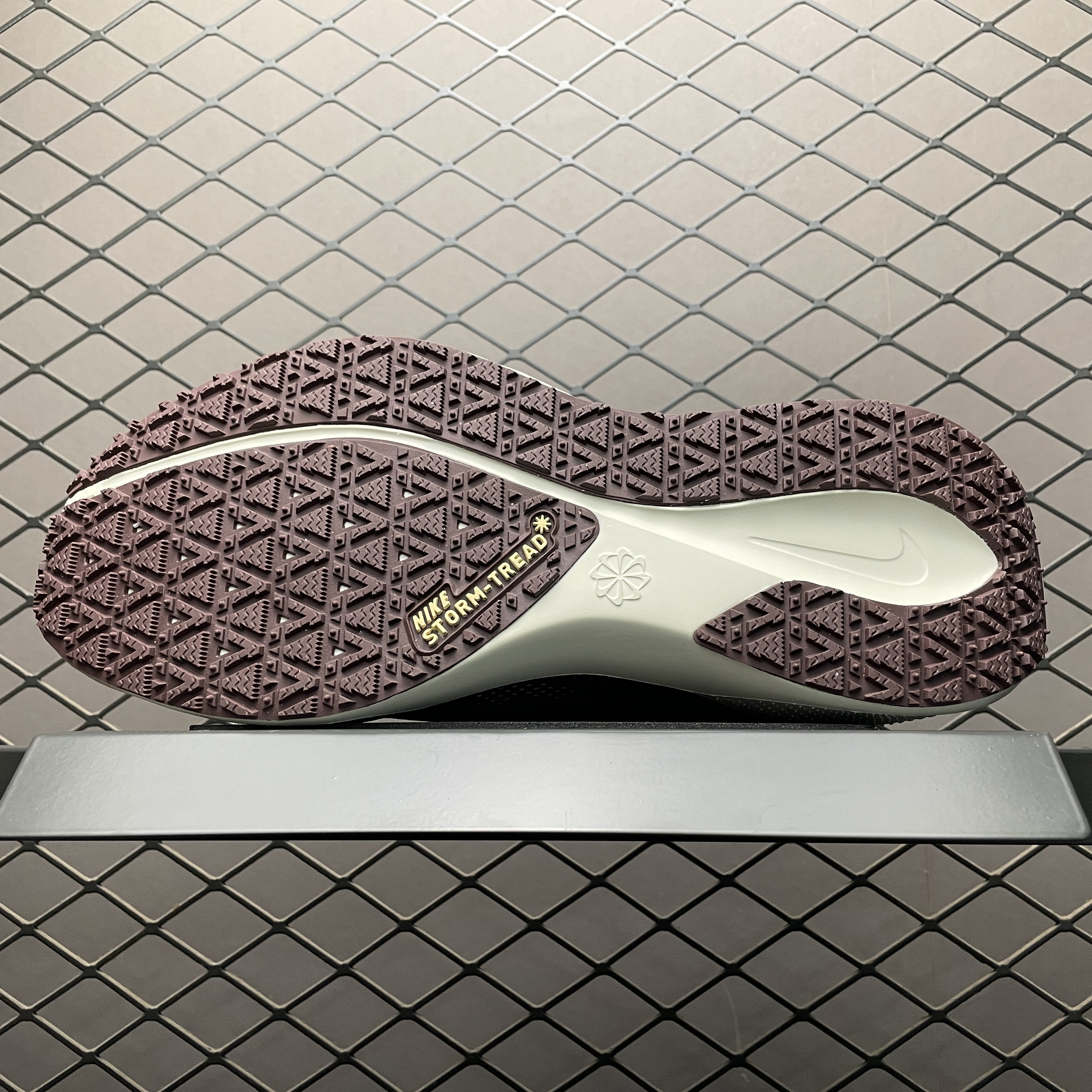 Nike Air Zoom Pegasus 41 Gore-Tex Light Pumice Burgandy Crush（ FQ1356-003）