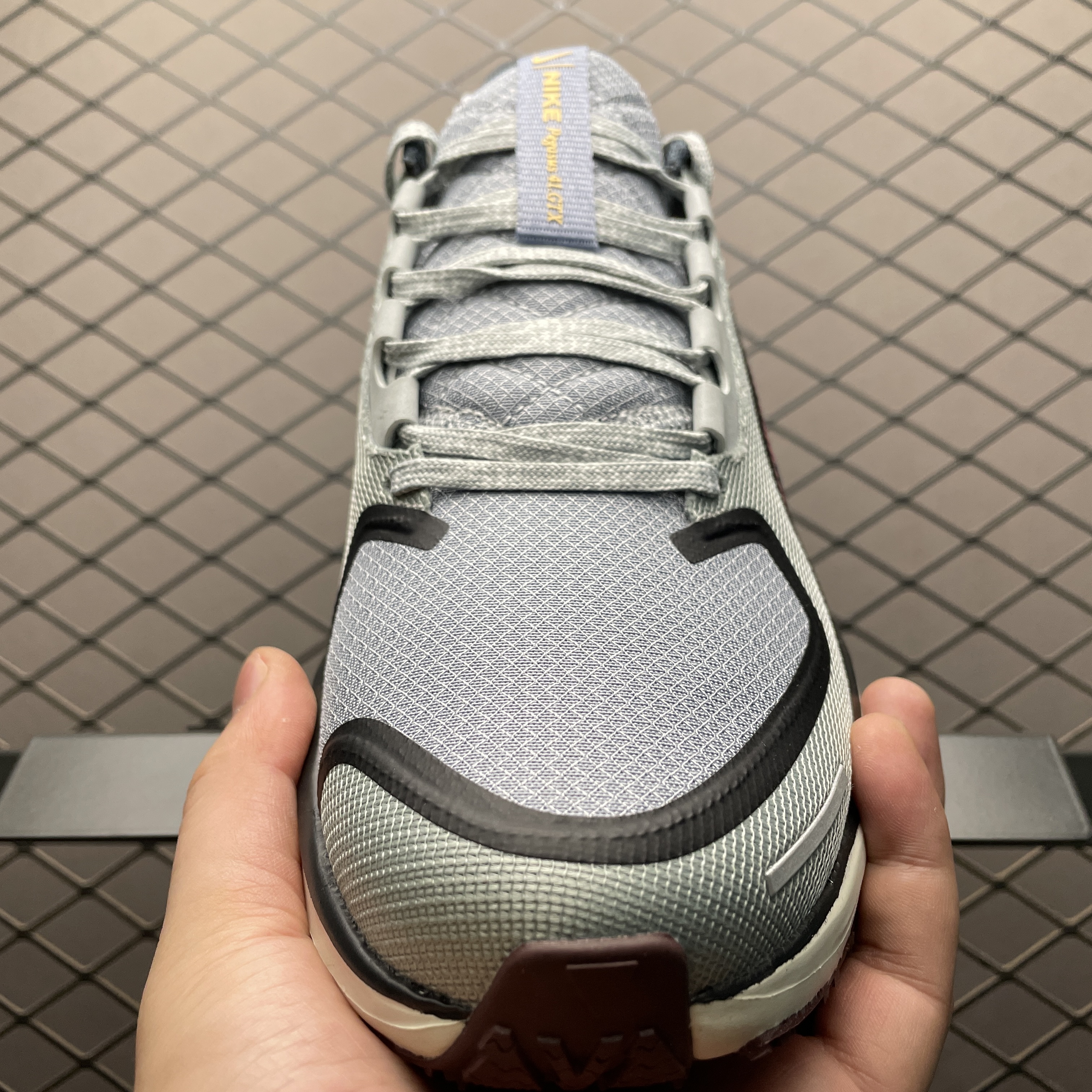 Nike Air Zoom Pegasus 41 Gore-Tex Light Pumice Burgandy Crush（ FQ1356-003）