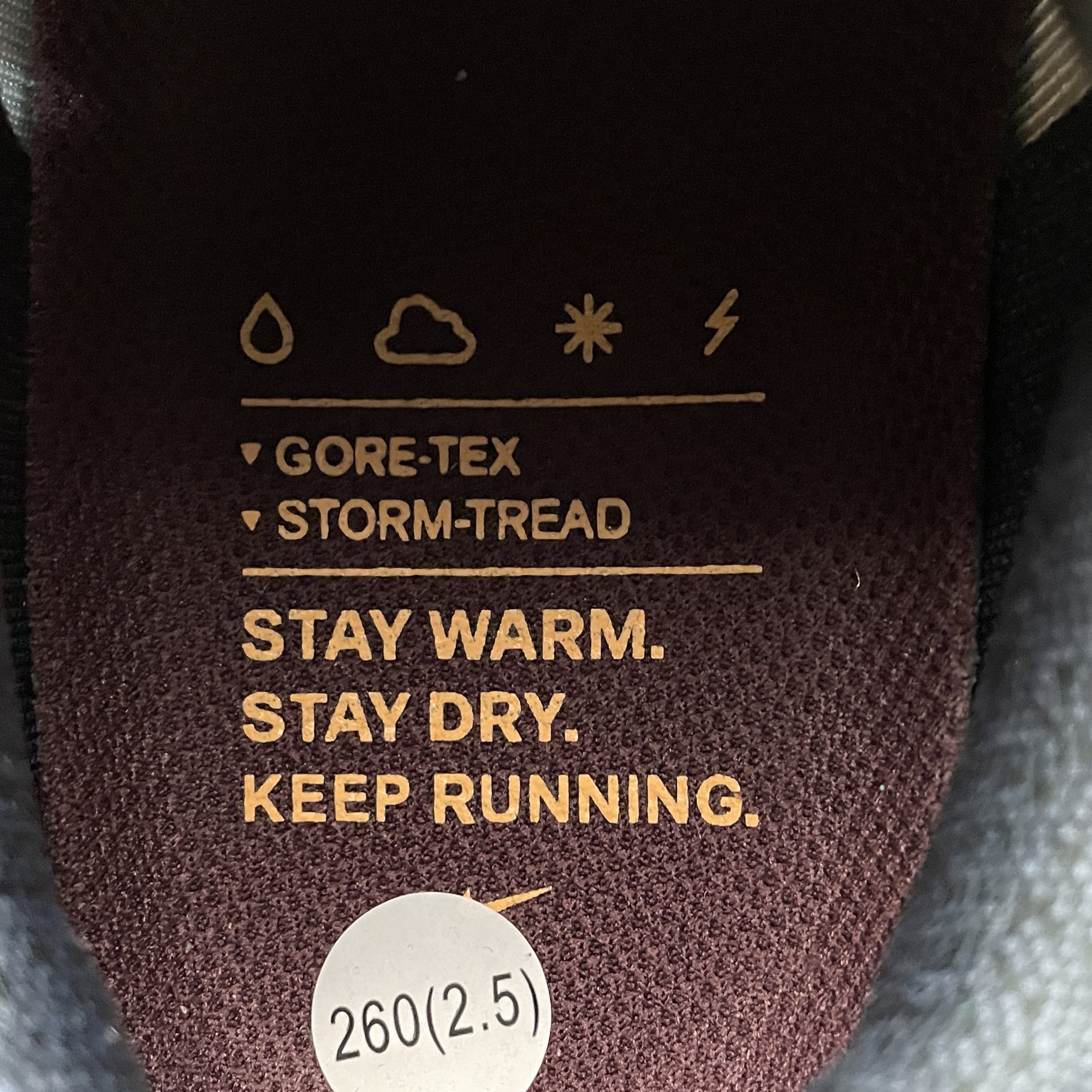 Nike Air Zoom Pegasus 41 Gore-Tex Light Pumice Burgandy Crush（ FQ1356-003）