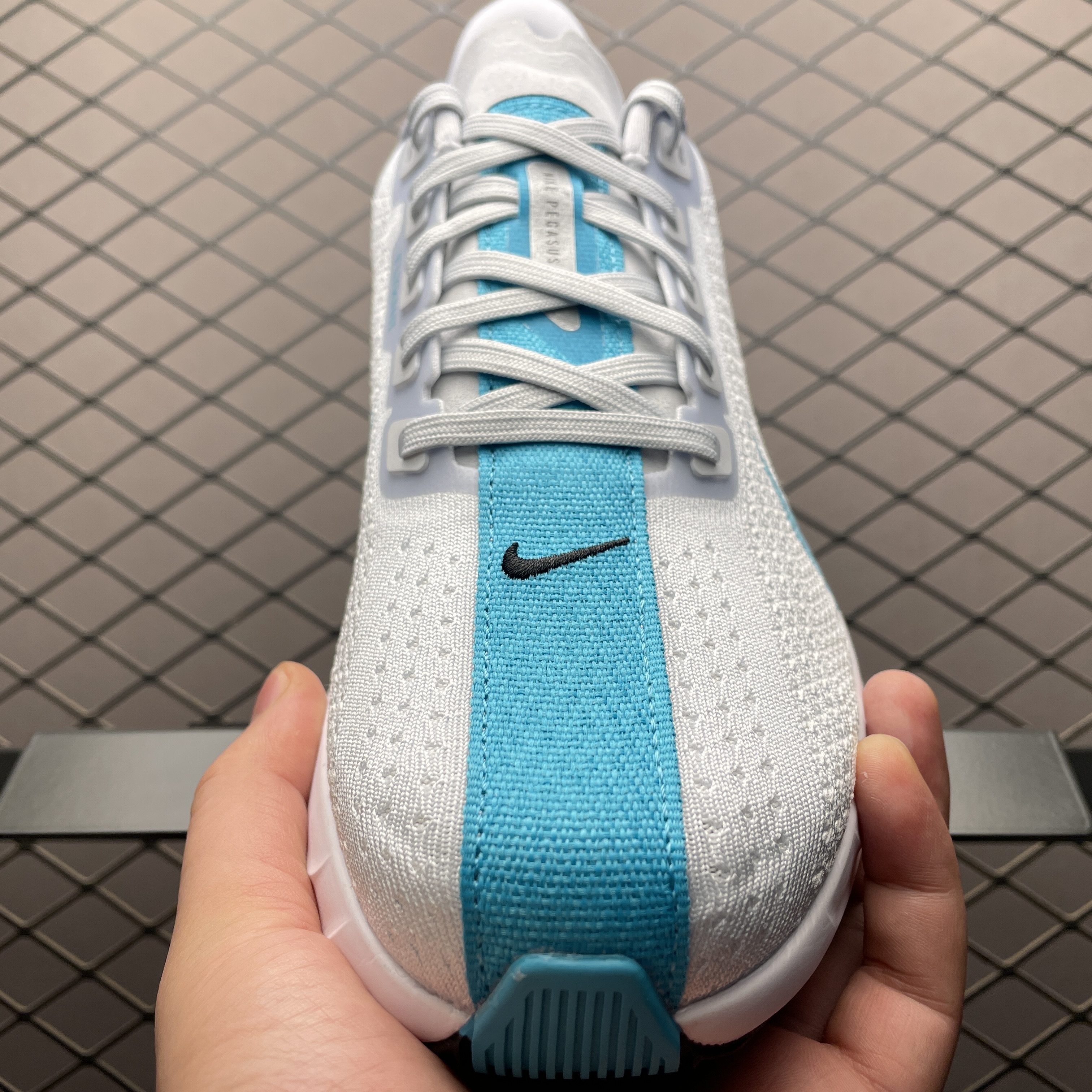 Nike ZoomX Pegasus Plus Dusty Cactus（ FQ7262-004 ）