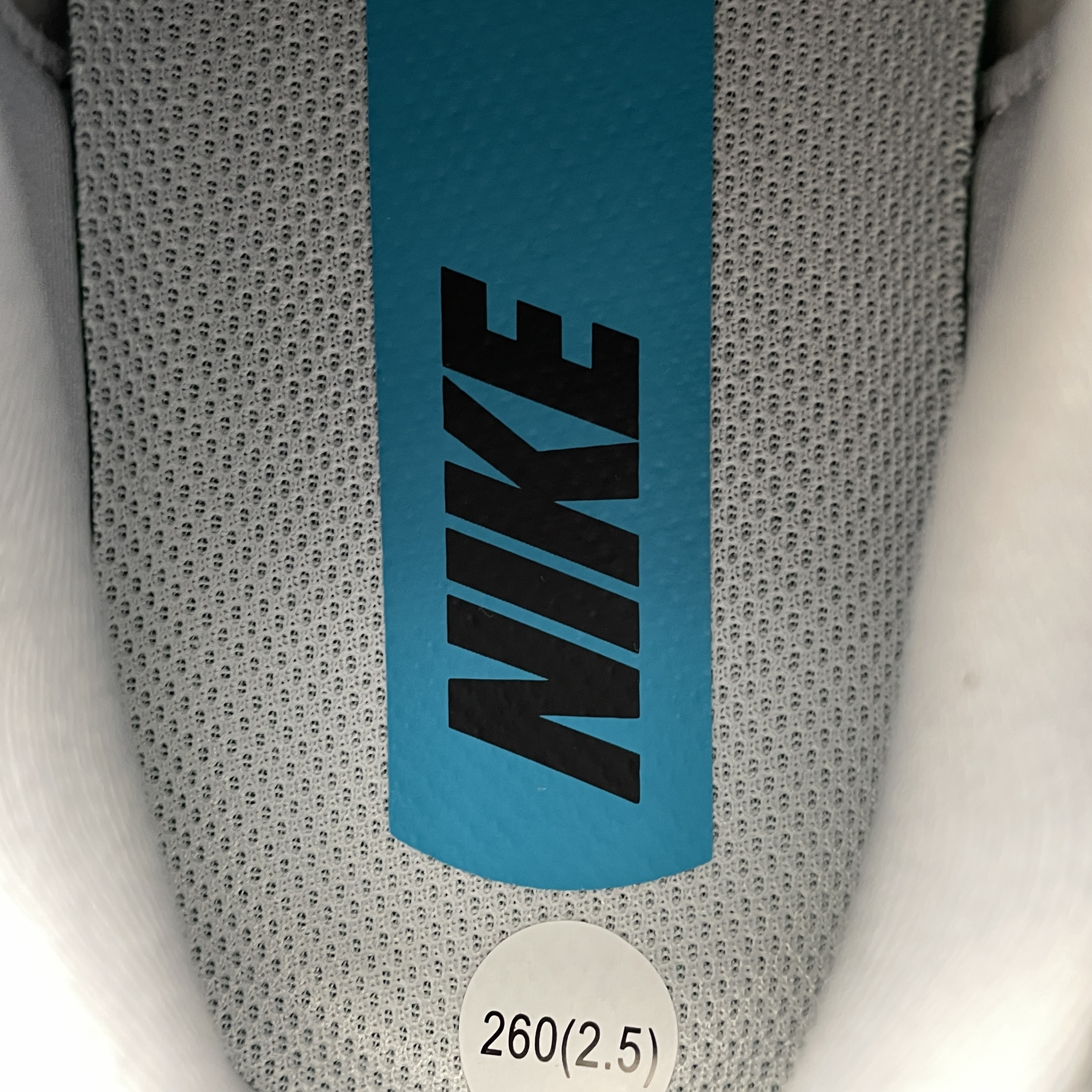 Nike ZoomX Pegasus Plus Dusty Cactus（ FQ7262-004 ）