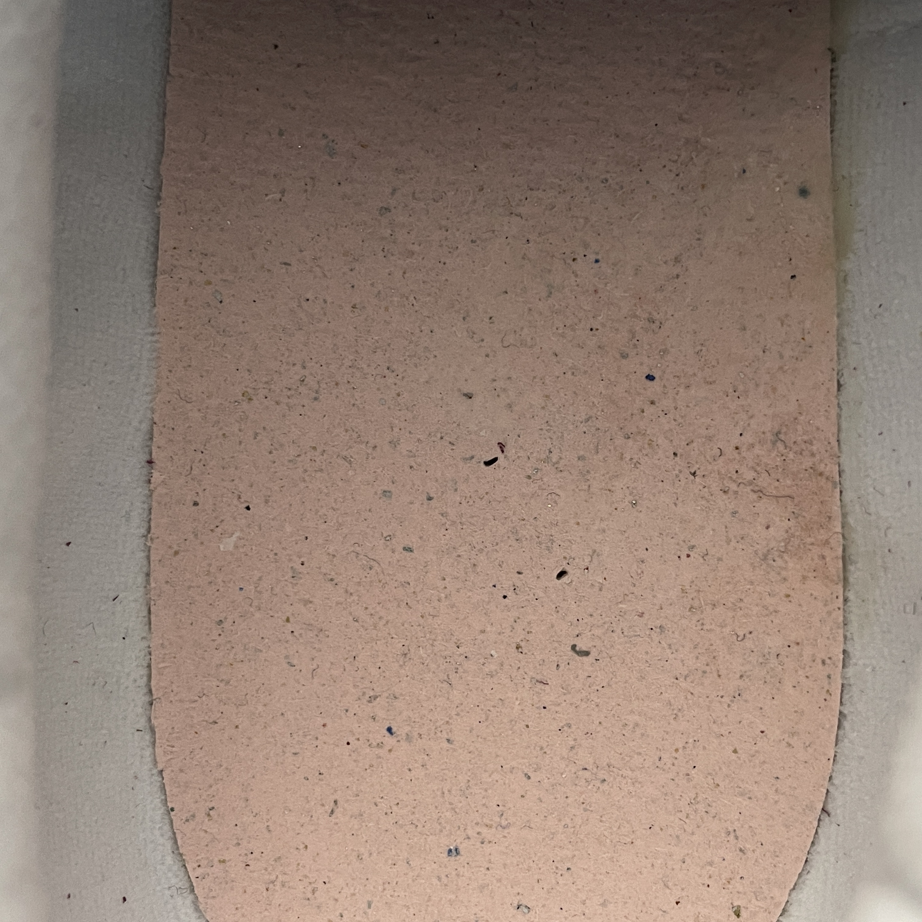 Onitsuka Tiger Moage CO 'Cream Beet Juice' （1183B555-100）