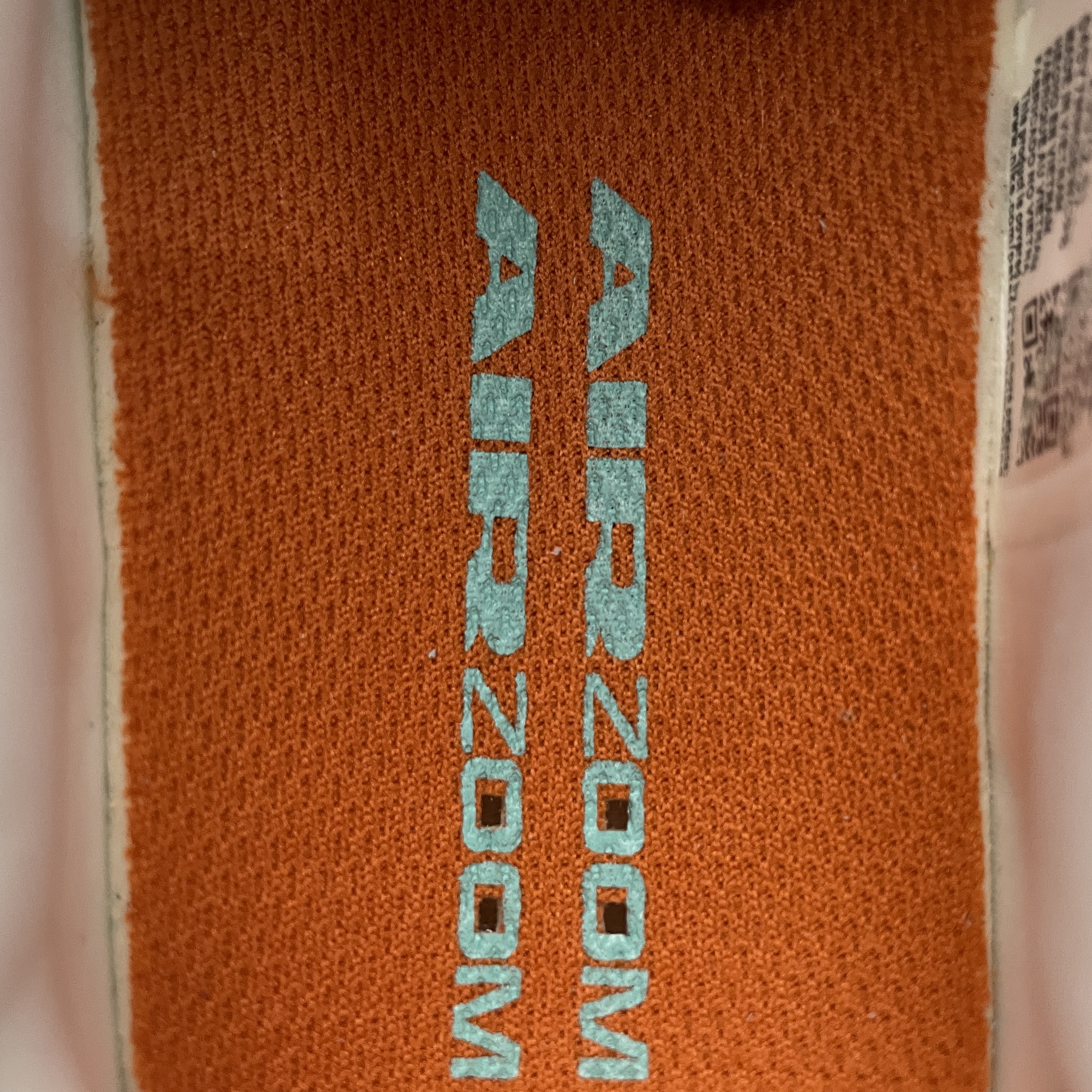 Nike SB GS Day One "Green Frost/Phantom/Gum Light Brown/Dark Russet"（ FN4210-301）