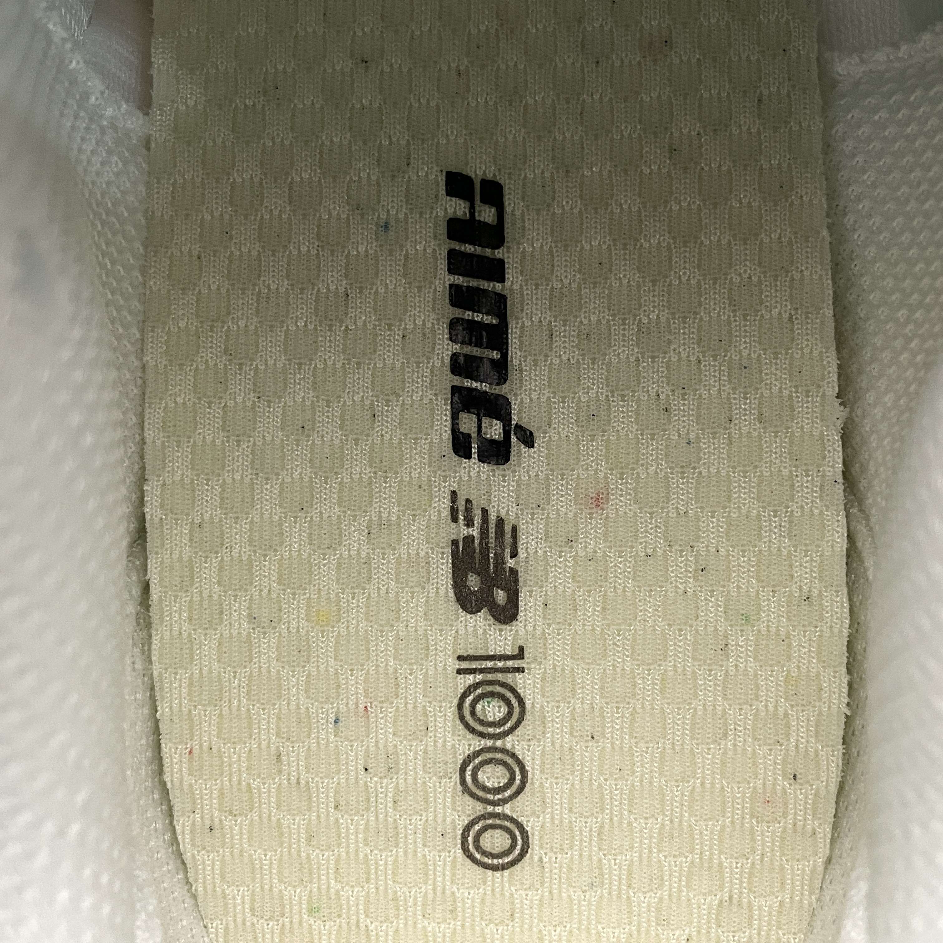 Aime Leon Dore × New Balance 1000 "Sea Salt" (M1000AC1)