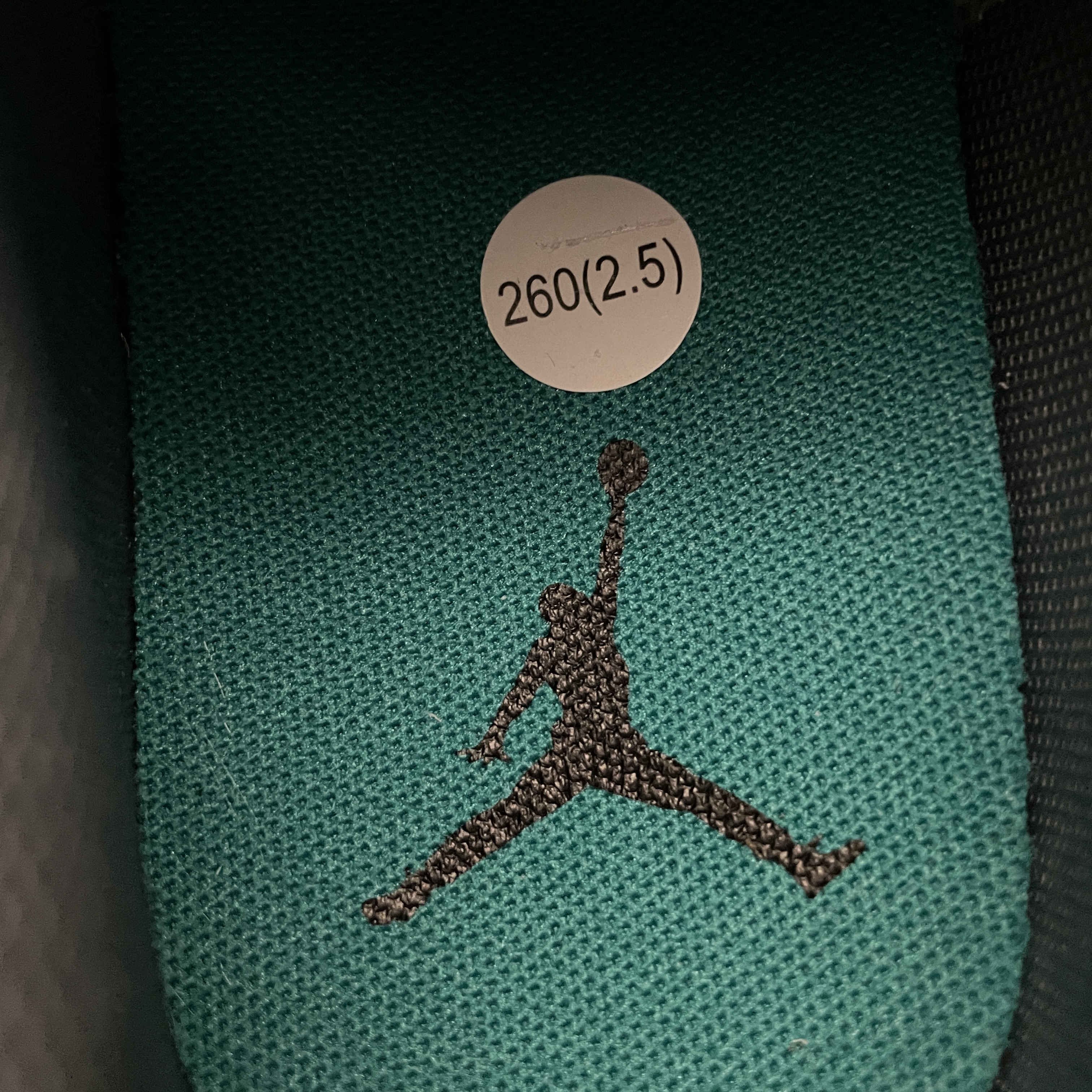 Nike Air Jordan 1 Low PRM "Sail/Cashmere/College Grey/Brave Blue"（HV4511-133）