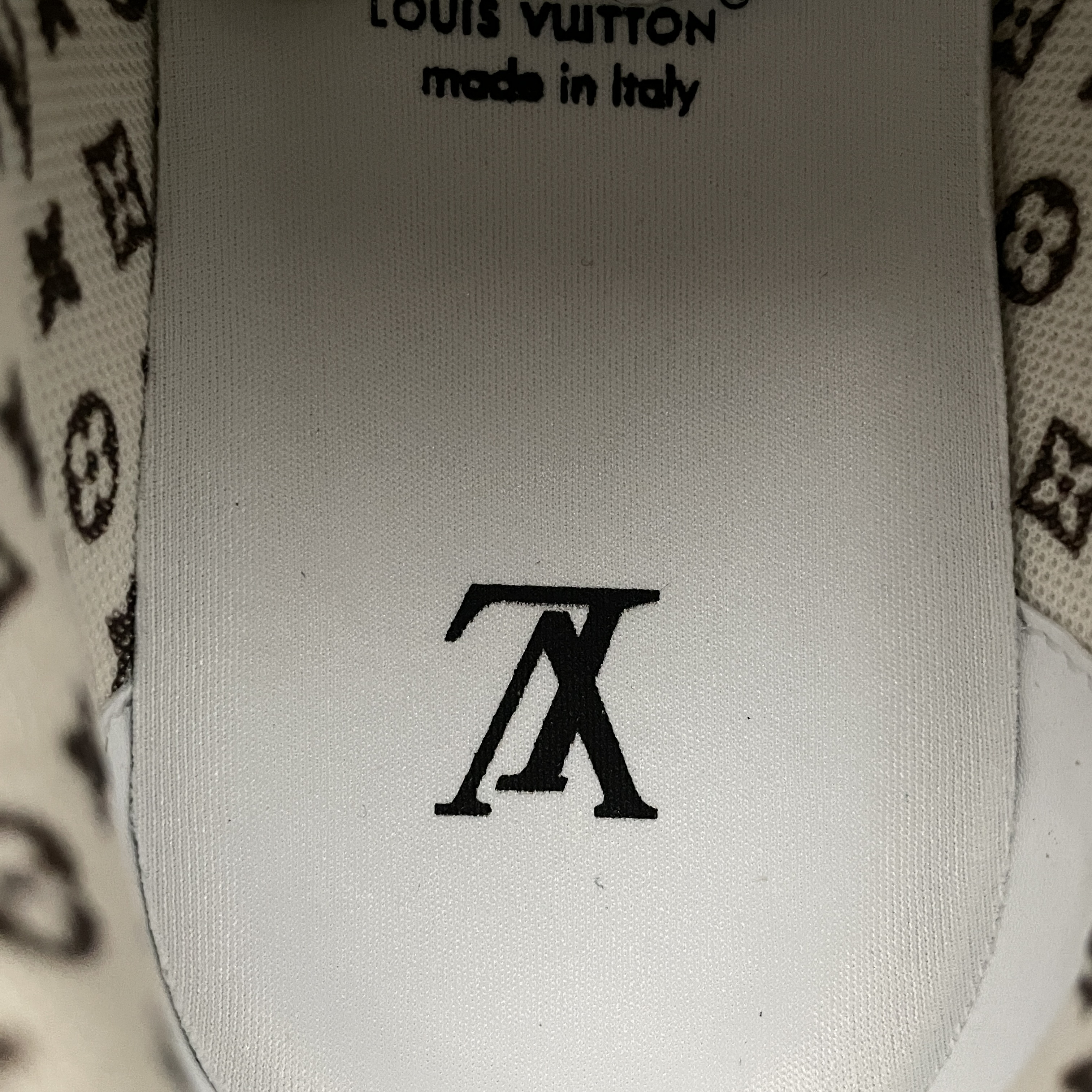 Louis Vuitton LV Skate Sneaker（ 1AC52M）