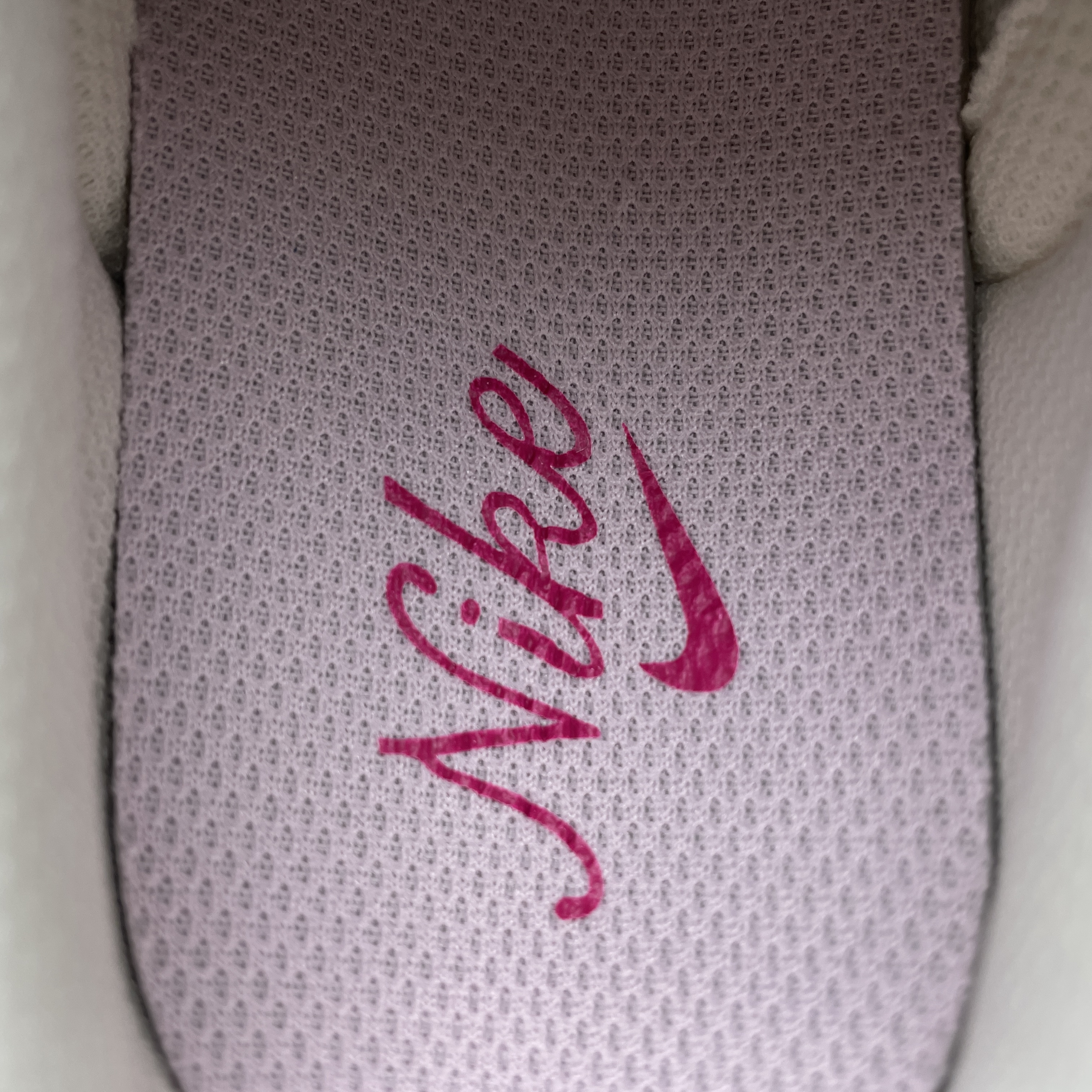 Nike Women's Dunk Low "Valentine’s Day" (2026)（IQ1145-610）