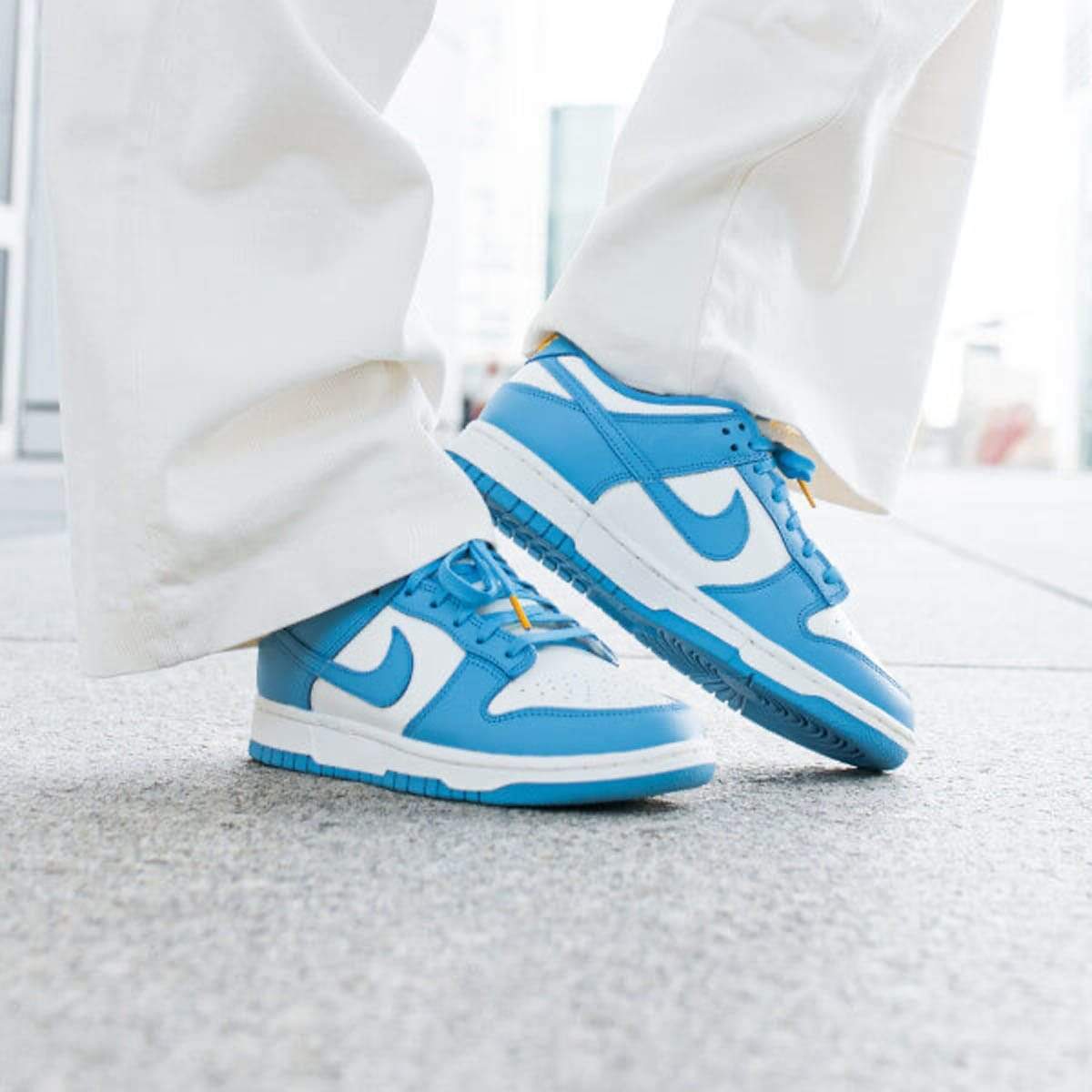 Nike Dunk Wmns Low 