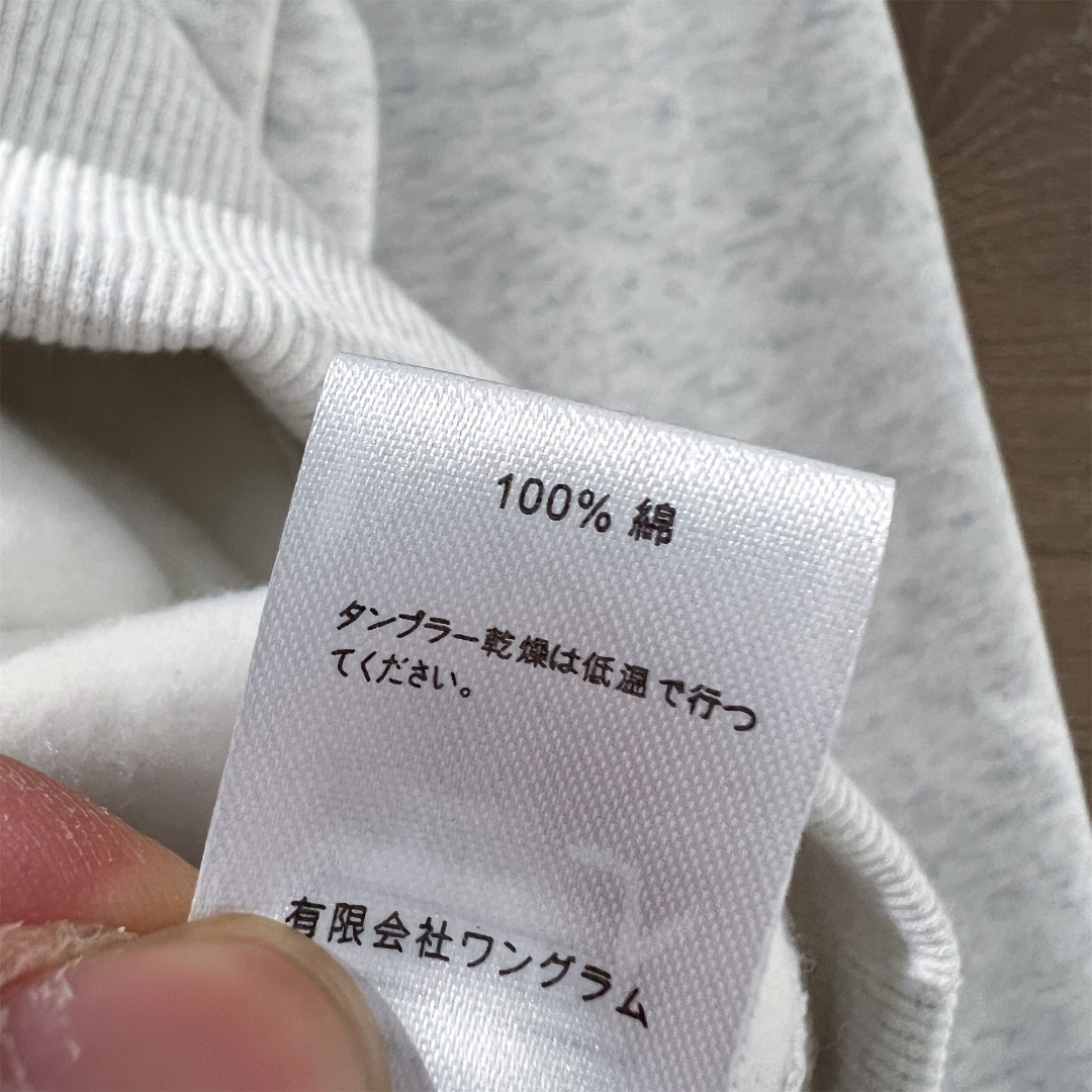 STUSSY  SHAKERS HOODIE（1925091）