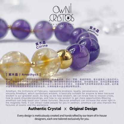 Career Wisdom & Wealth