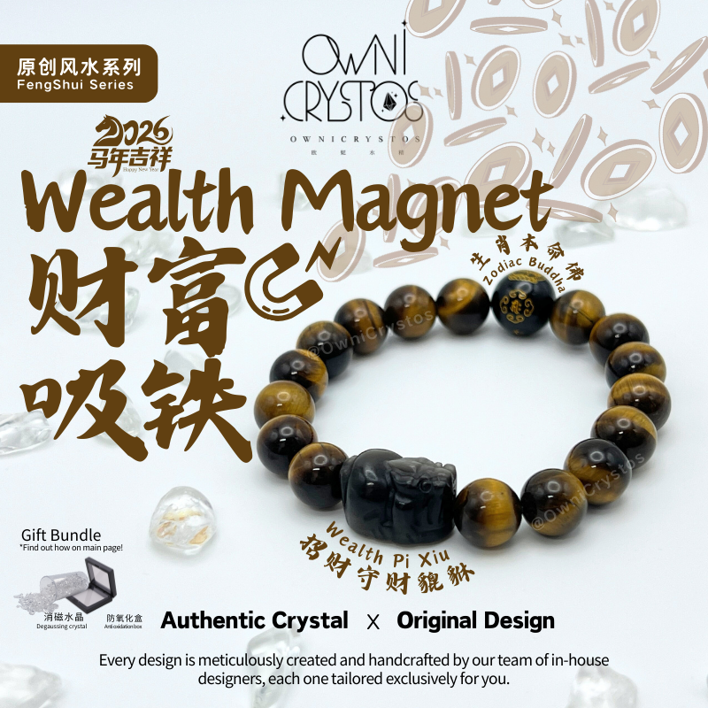 2026 Feng Shui Zodiac PiXiu Wealth unisex tiger eye obsidian gift present Natural crystal bracelet
