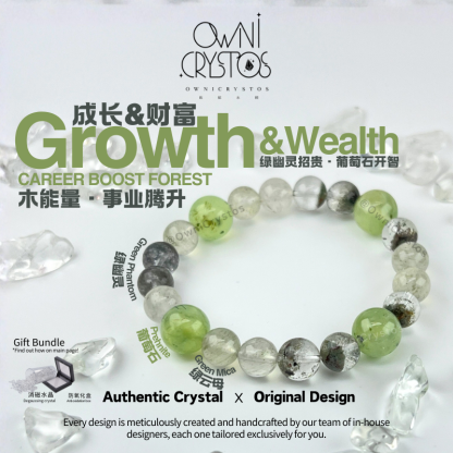 Wealth&Health Natural crystal bracelet unisex Prehnite Mica Green Phantom