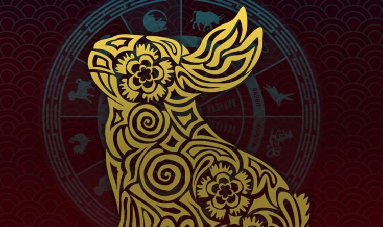 Rabbit 2021 zodiac horoscope: What your Chinese zodiac sign means for you  this year | Express.co.uk