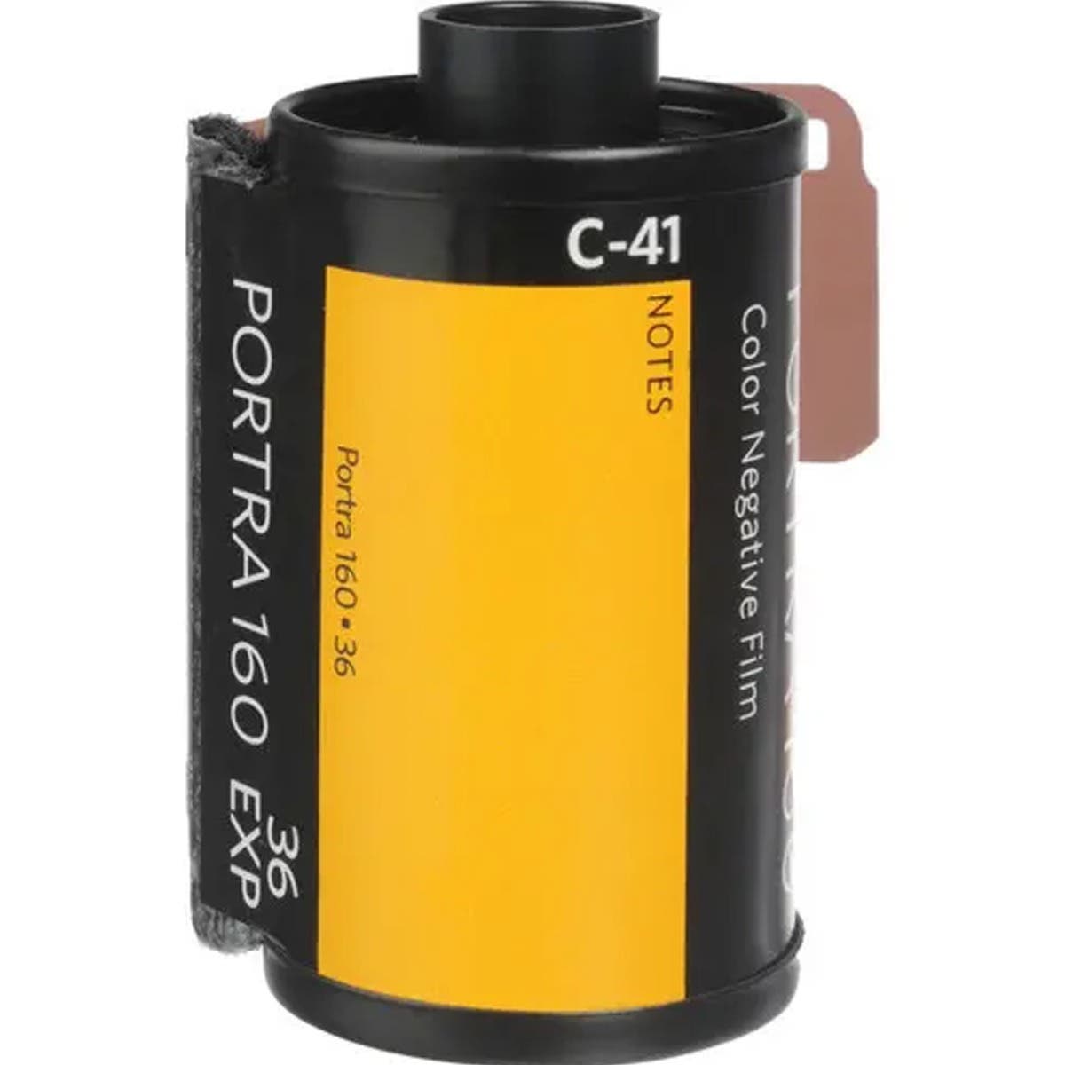 Kodak Professional Portra 160 Colour Negative Film (35mm Roll Film, 36 Exposures)