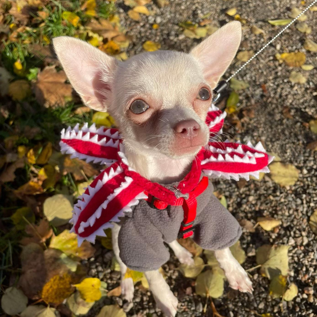 Red Cannibal Flower Dog Hat Costumes Scary Flower Headwear Dogs Cosplay