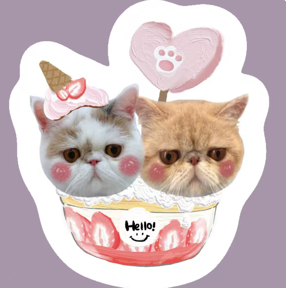 Personalized Unique Gift Idea Plush Pillow - Fun Animal Character Pillow for Cat Lovers & Friends