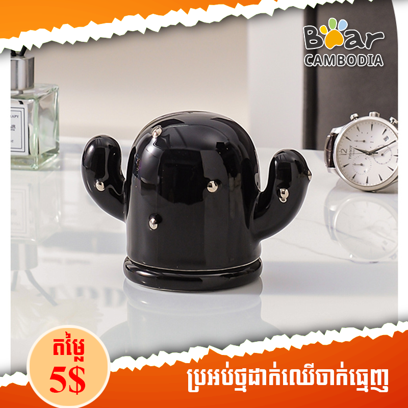 Cactus Toothpick Box - Black