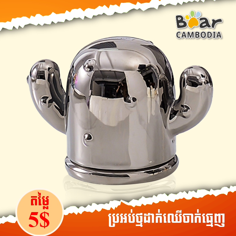 Cactus Toothpick Box - Silver