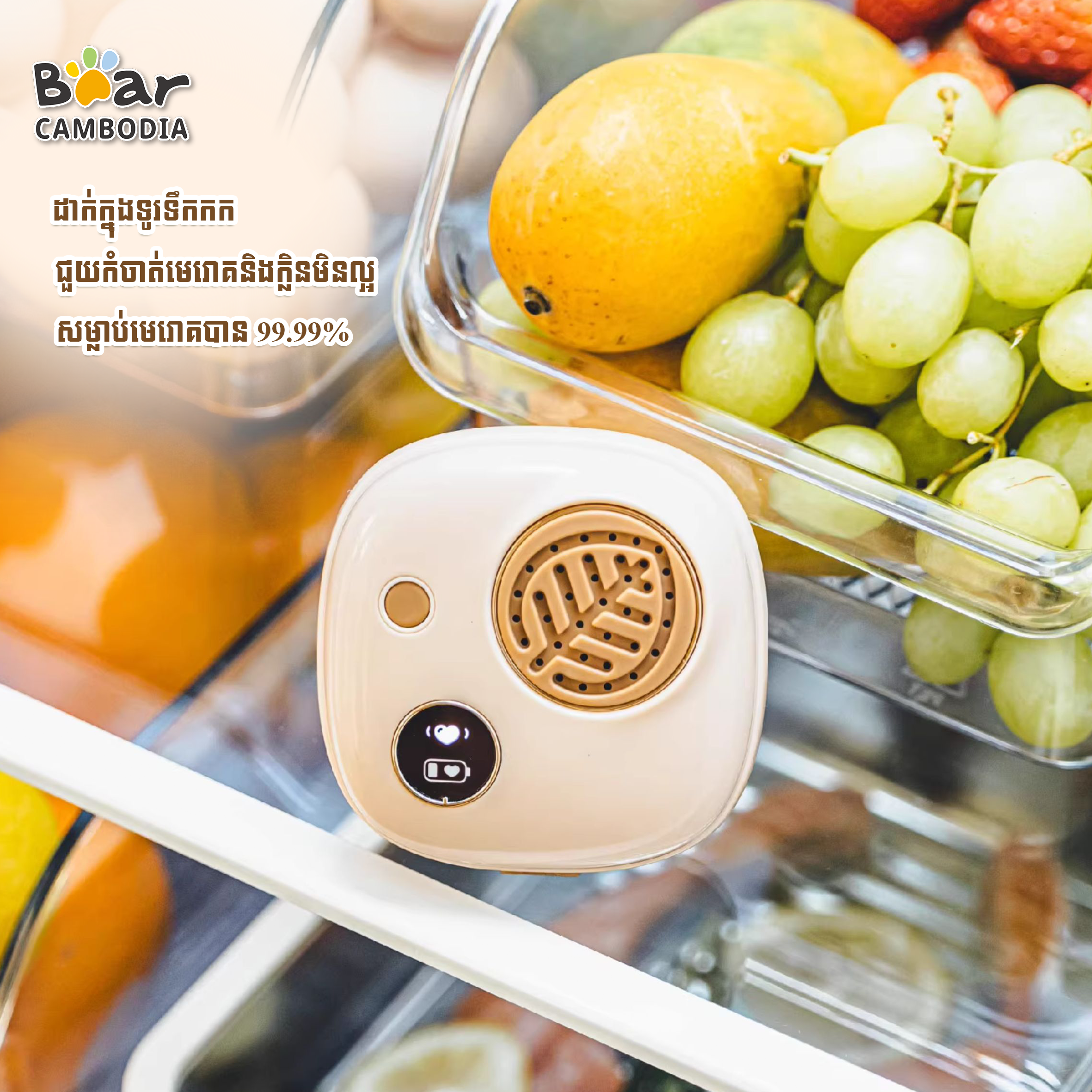  SK Fridge Deodorizer 