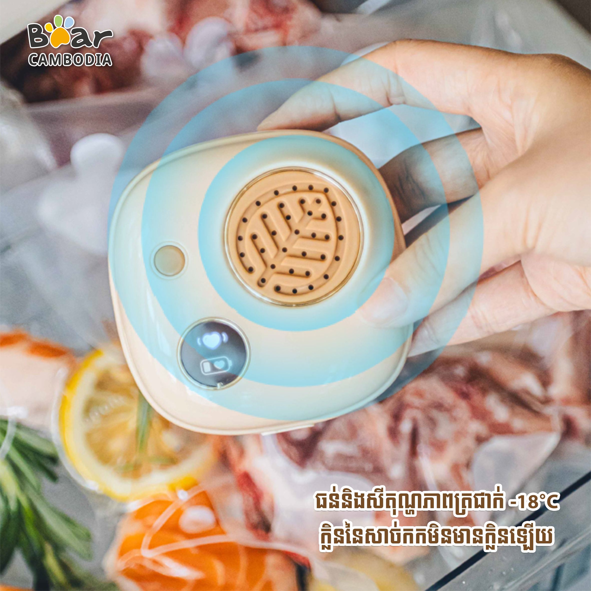  SK Fridge Deodorizer 