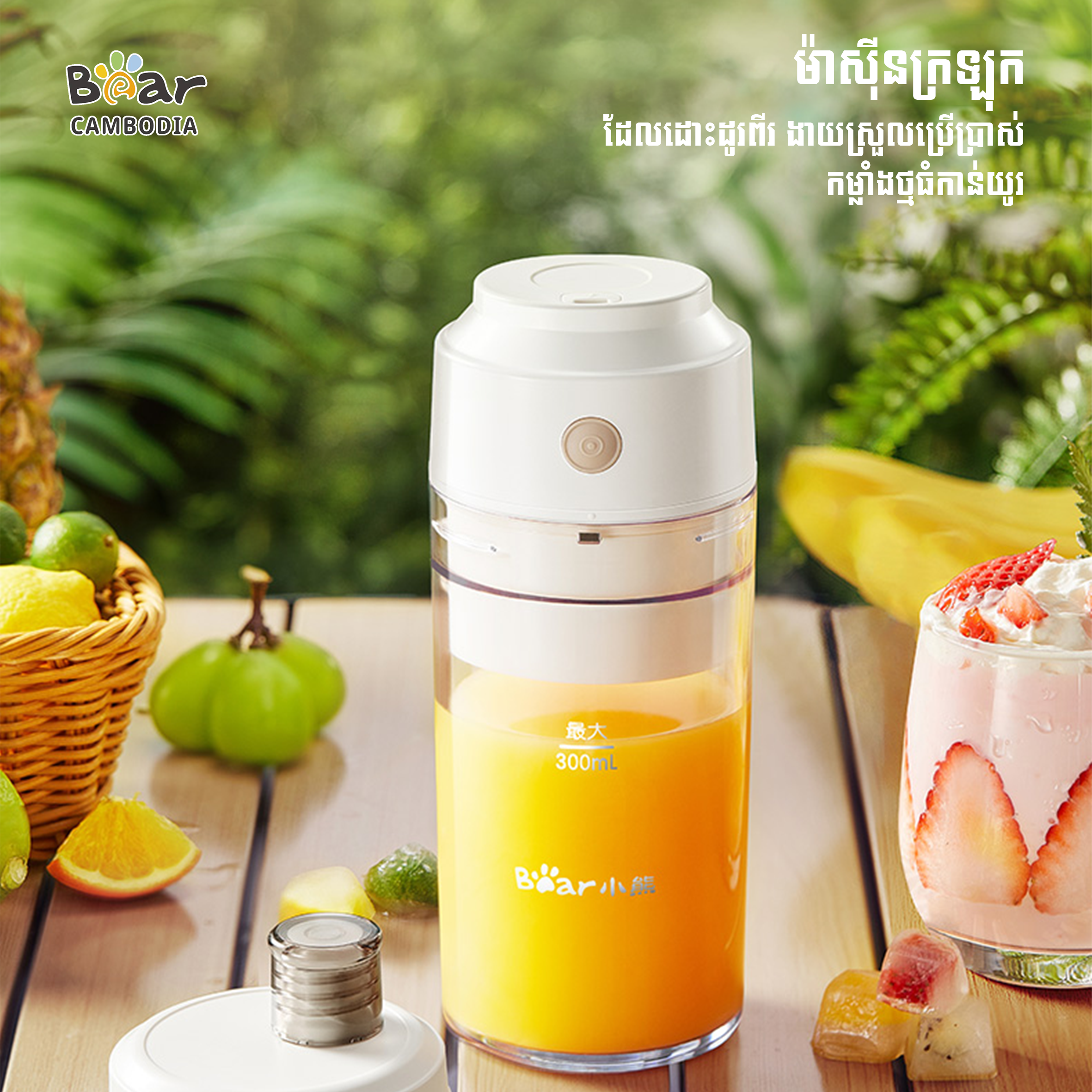 Food Processer 300ML (ម៉ាសុីនក្រឡុក)  FC-T03H1