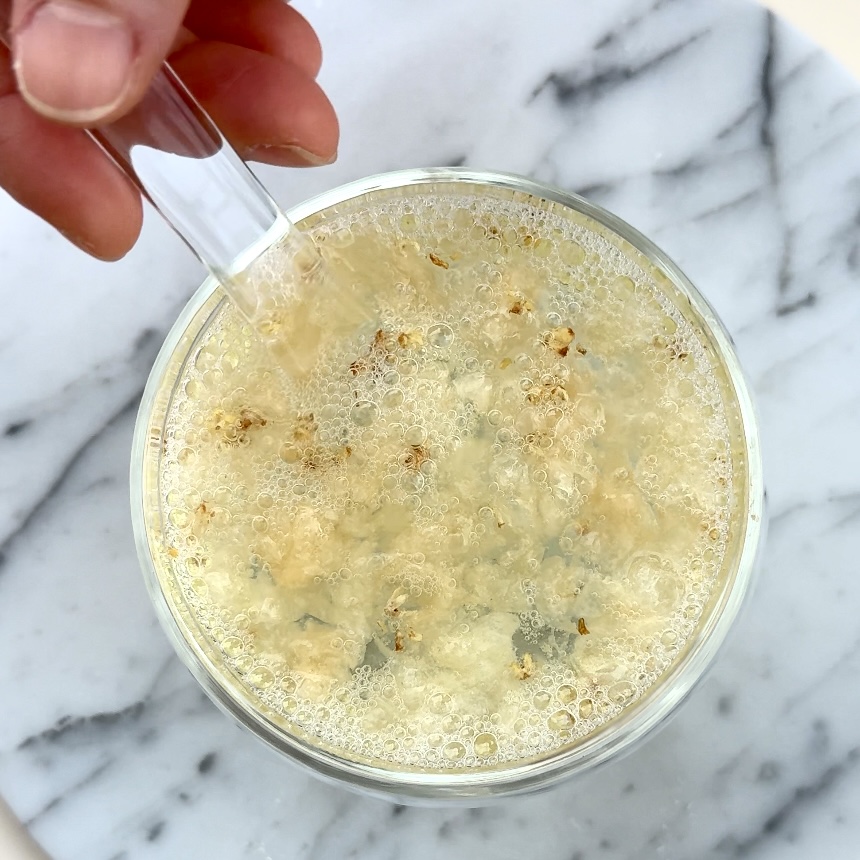 The Radiance Bloom Bundle ( Nestbloom X Doe & Mi )