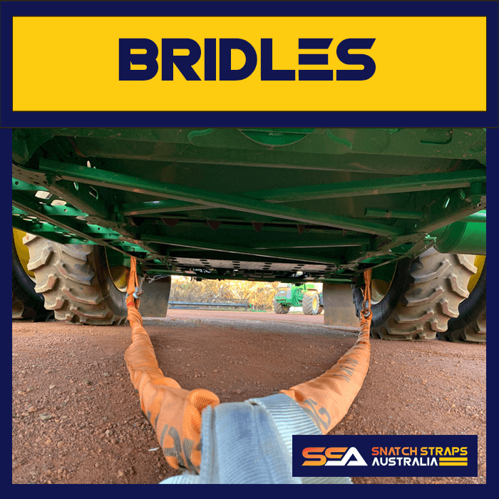 Bridle