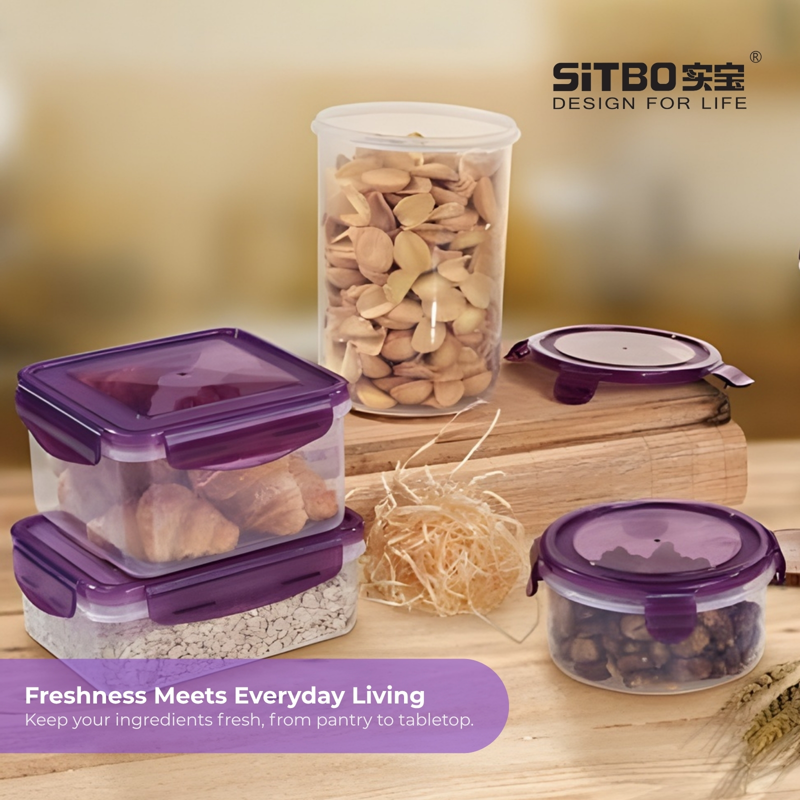 Sitbo Rectangular Airtight Crisper Food Storage Container with Locking Clips - Medium