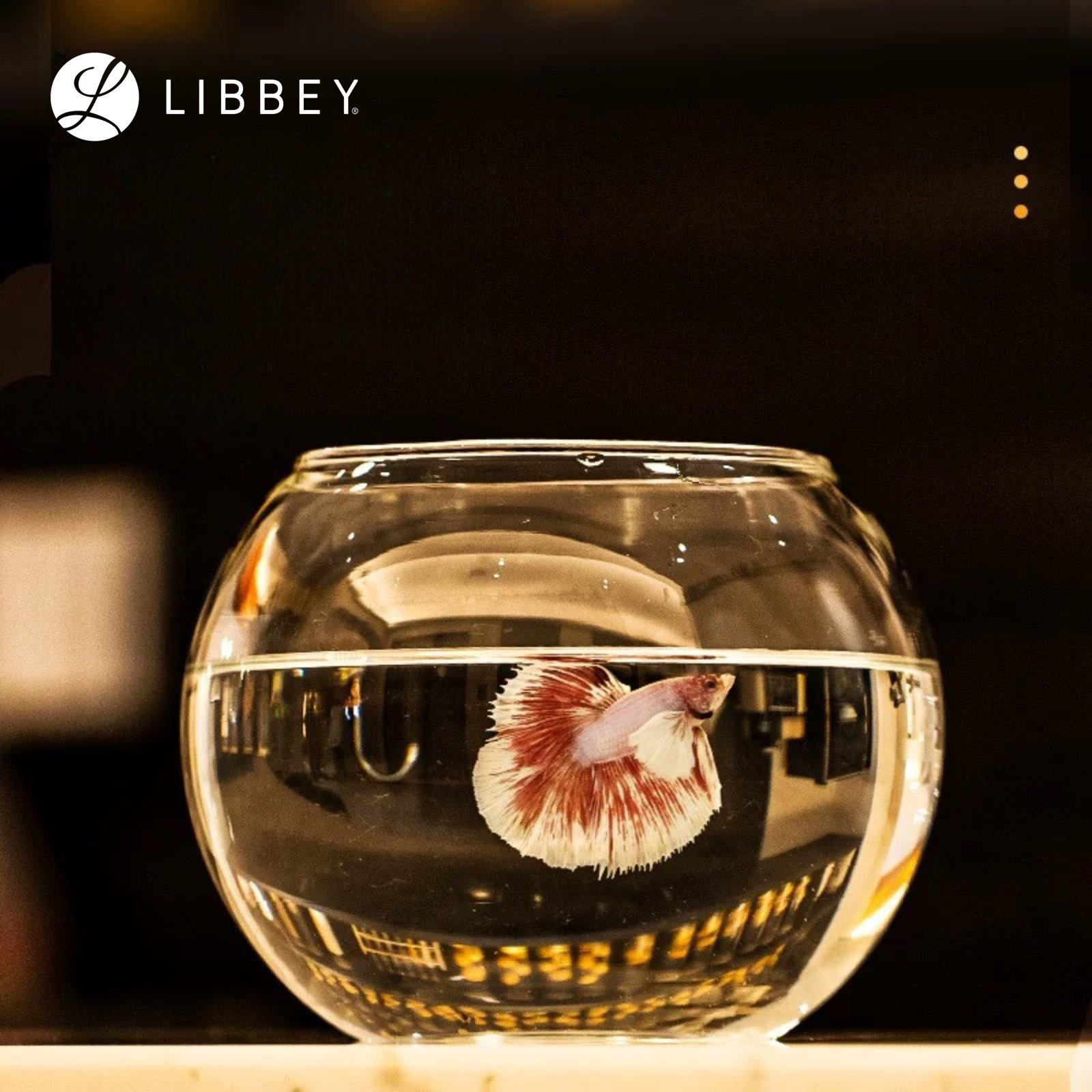 Libbey Bubble Glass Serving Decor Bowl 408ml/13.8oz - For Beverages, Parfait, Ice-Cream, Tea Lights