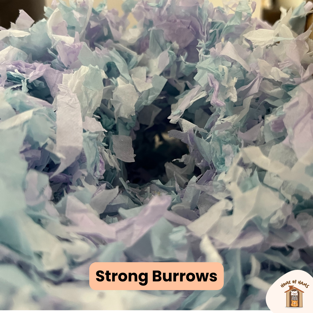 Colourful Paper Bedding for Hamsters