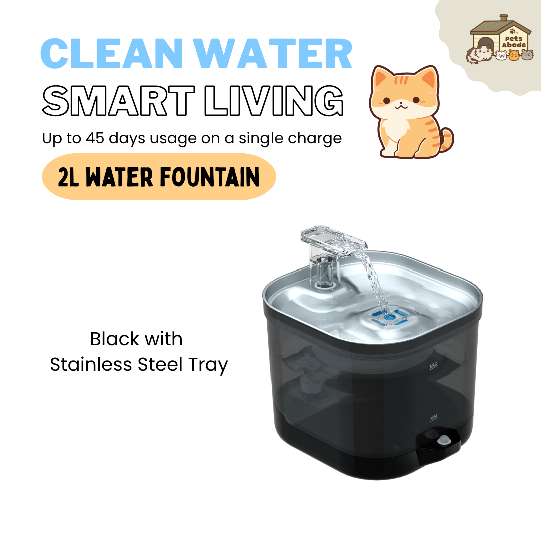 2L Wireless Smart Drinking Fountain