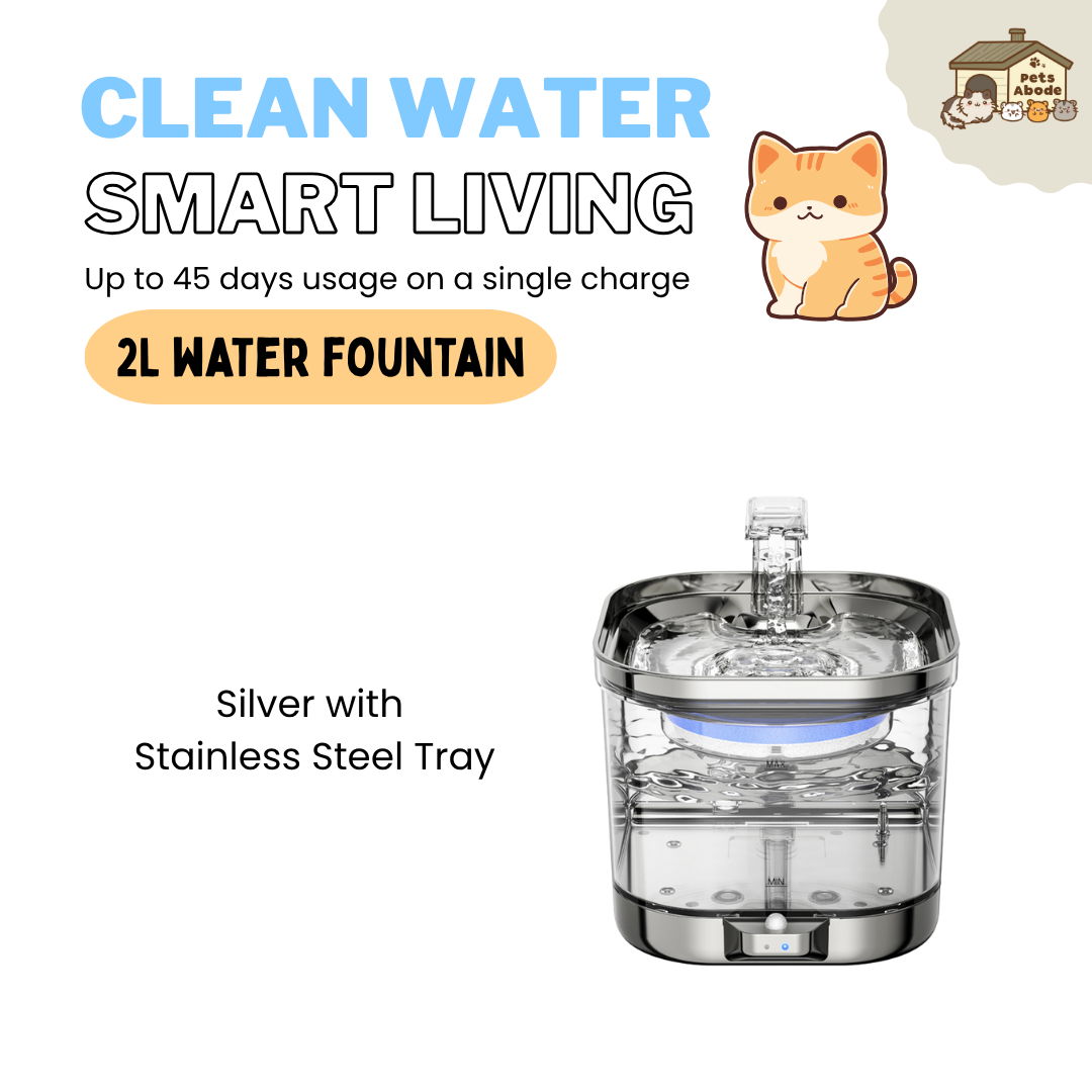 2L Wireless Smart Drinking Fountain
