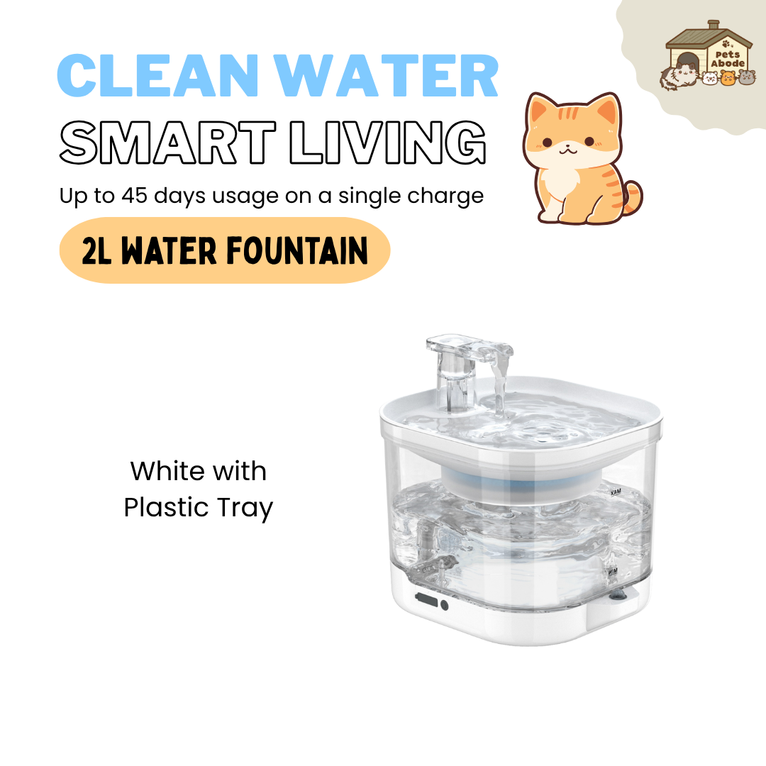 2L Wireless Smart Drinking Fountain