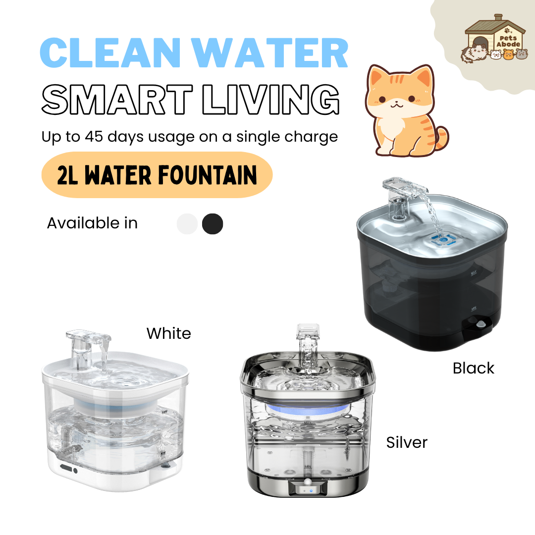2L Wireless Smart Drinking Fountain