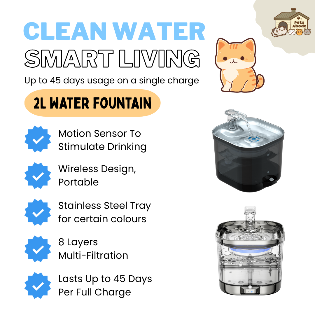 2L Wireless Smart Drinking Fountain