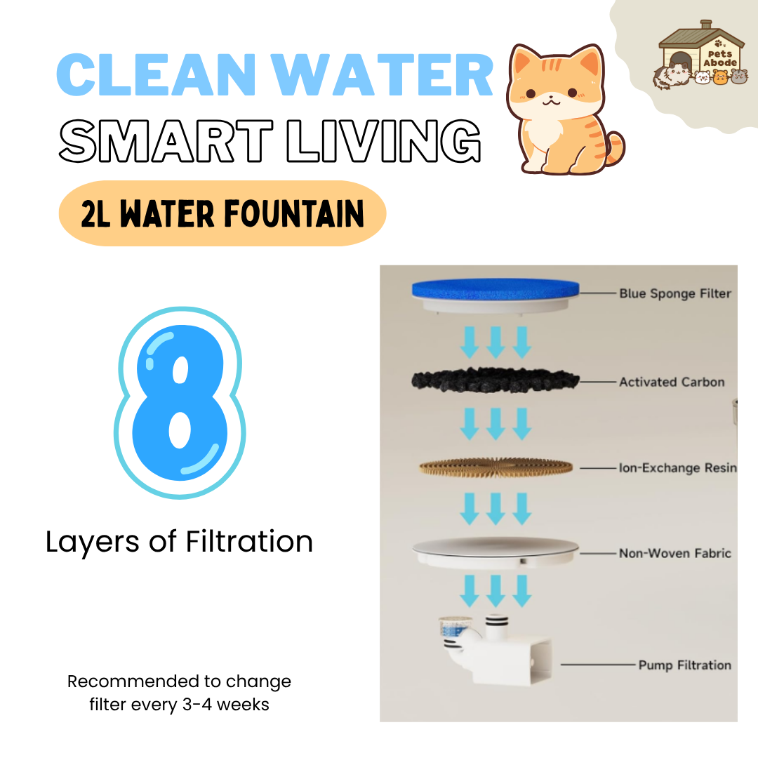 2L Wireless Smart Drinking Fountain