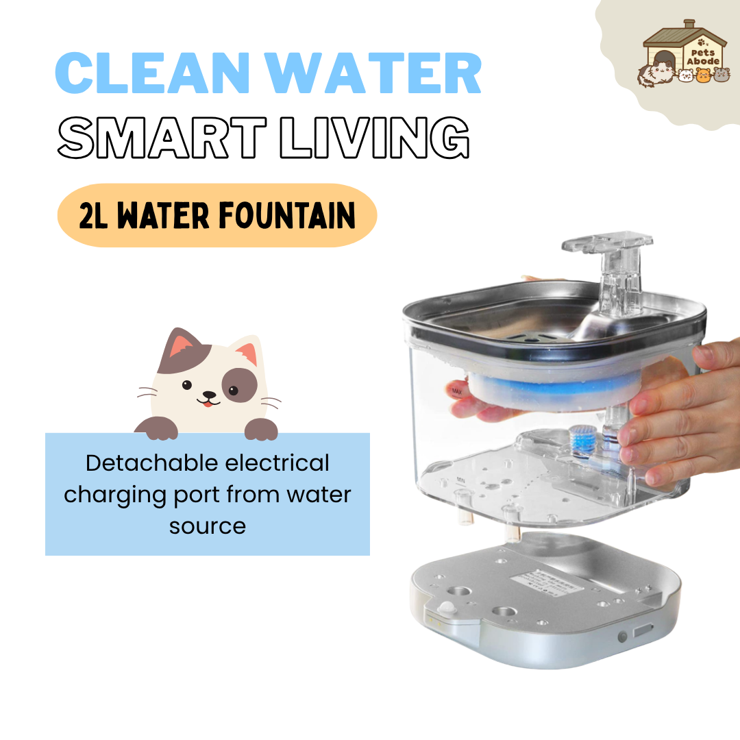 2L Wireless Smart Drinking Fountain