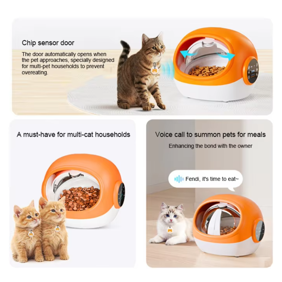 RFID Pet Feeder for Cats