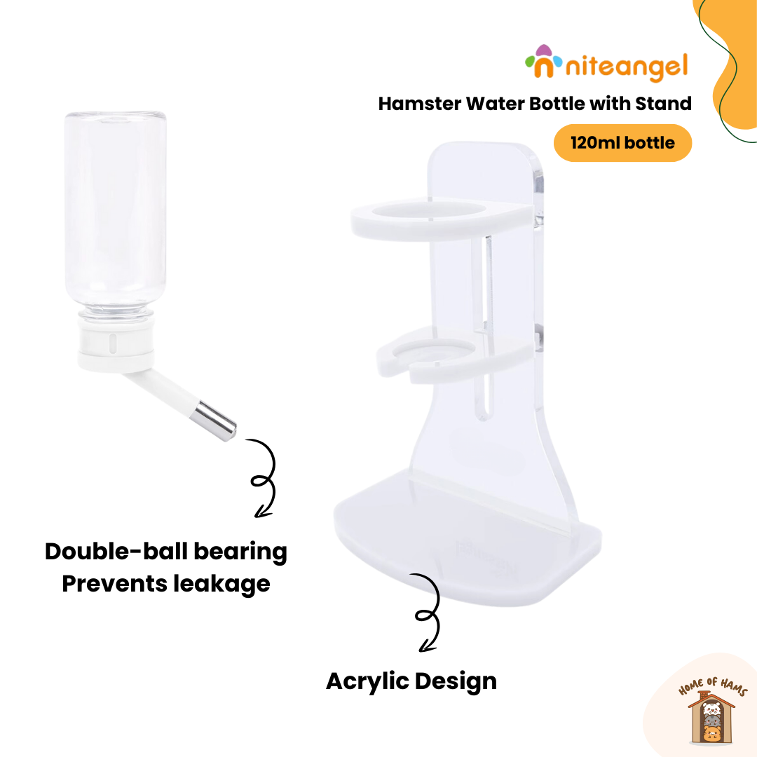Nitenangel Water Bottle with Stand