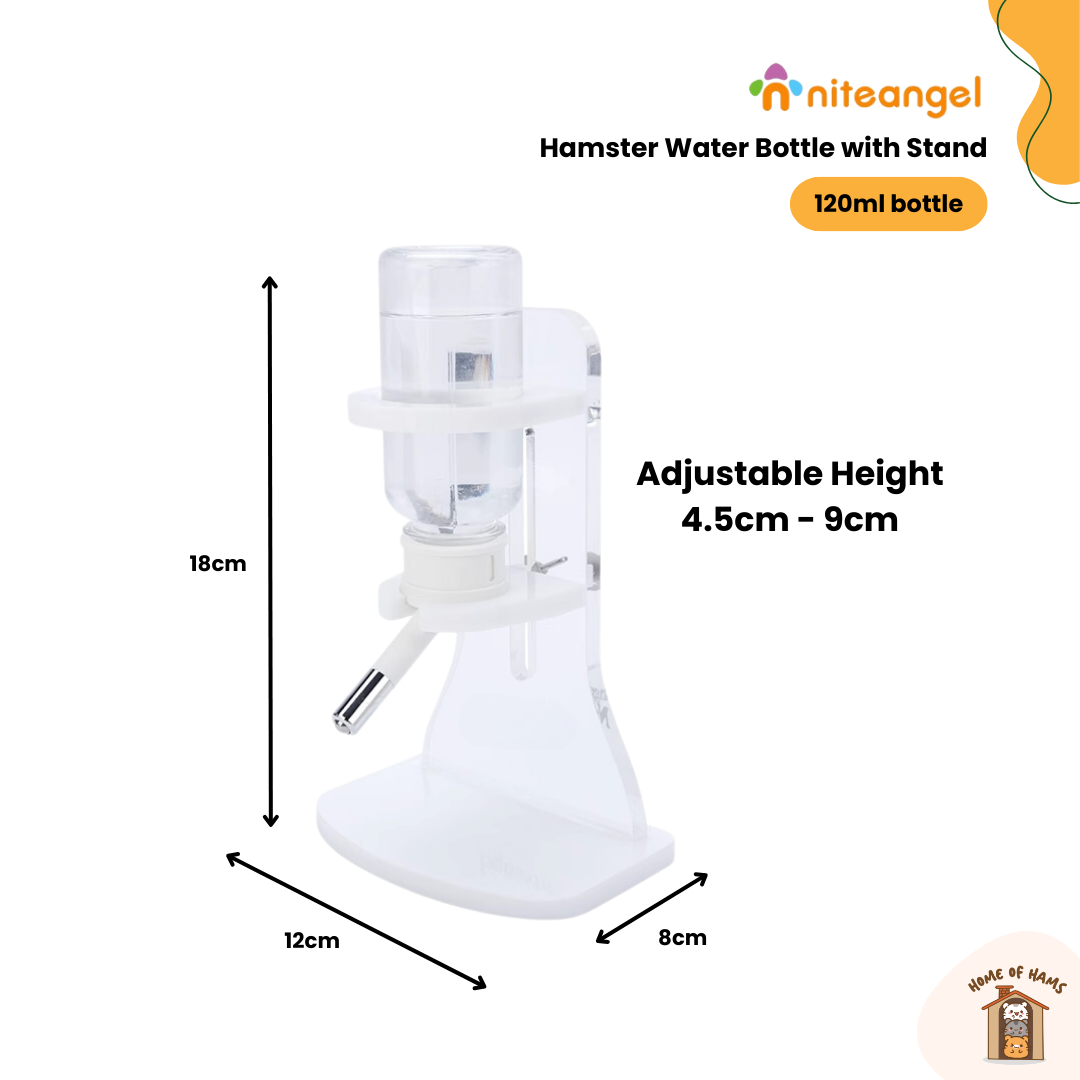 Nitenangel Water Bottle with Stand