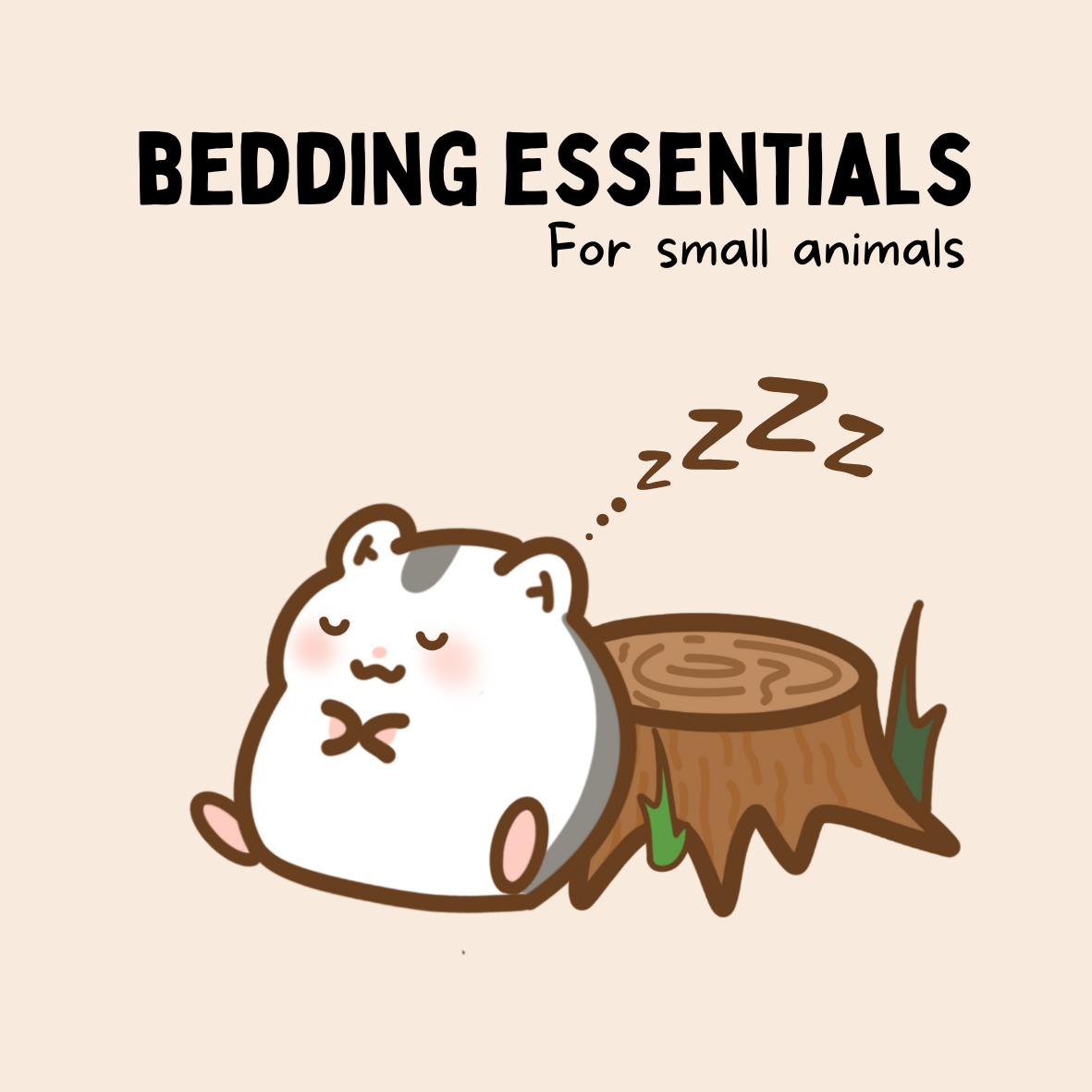 Bedding Essentials