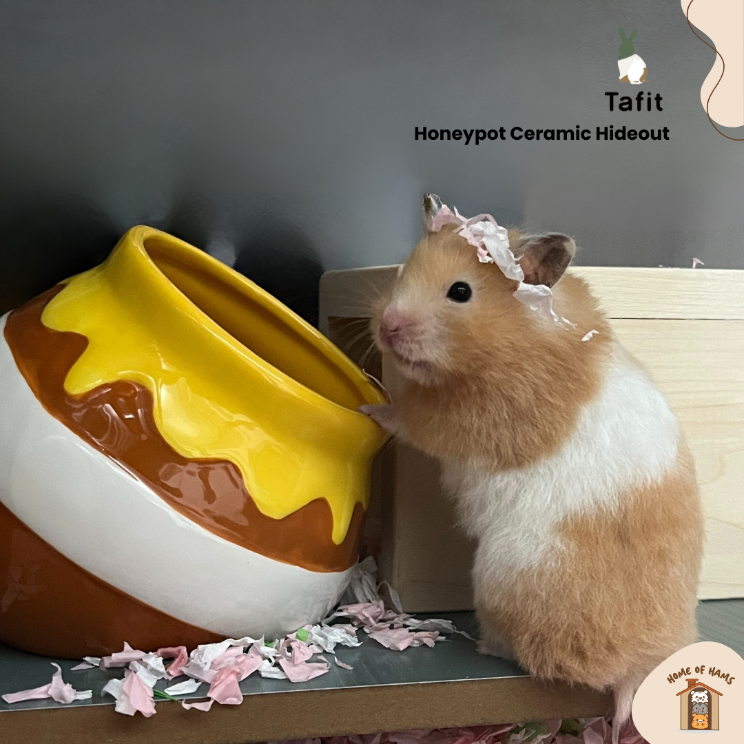 Tafit Honeypot Hideout for Hamsters