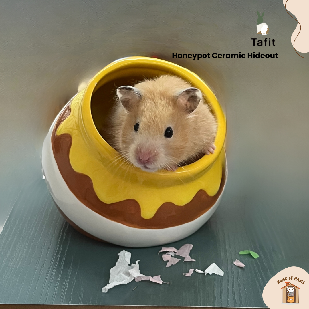 Tafit Honeypot Hideout for Hamsters