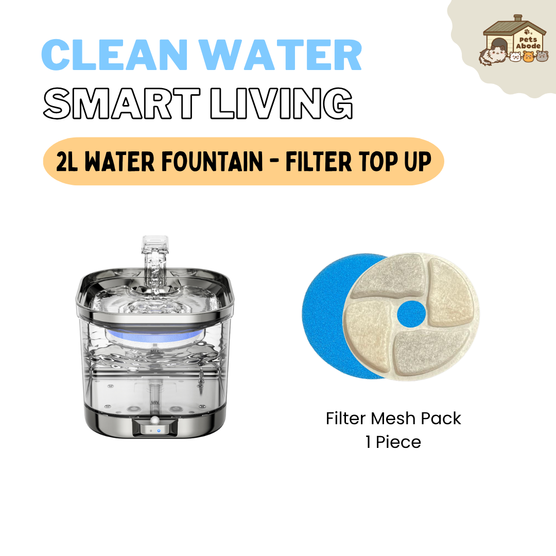 2L Wireless Smart Drinking Fountain