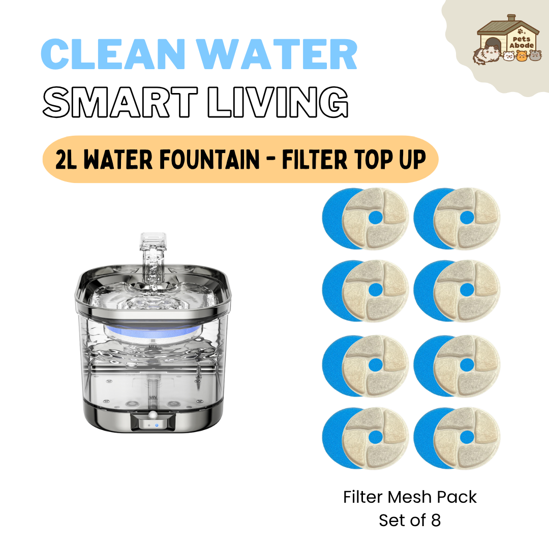 2L Wireless Smart Drinking Fountain