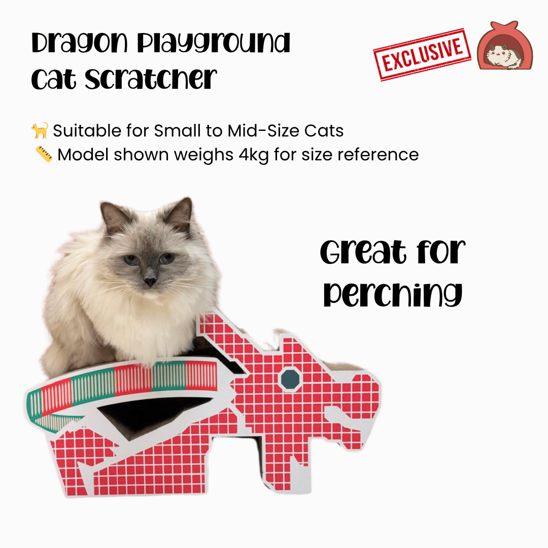 Cat Scratcher Dragon Playground Cat Scratcher Exclusive Design