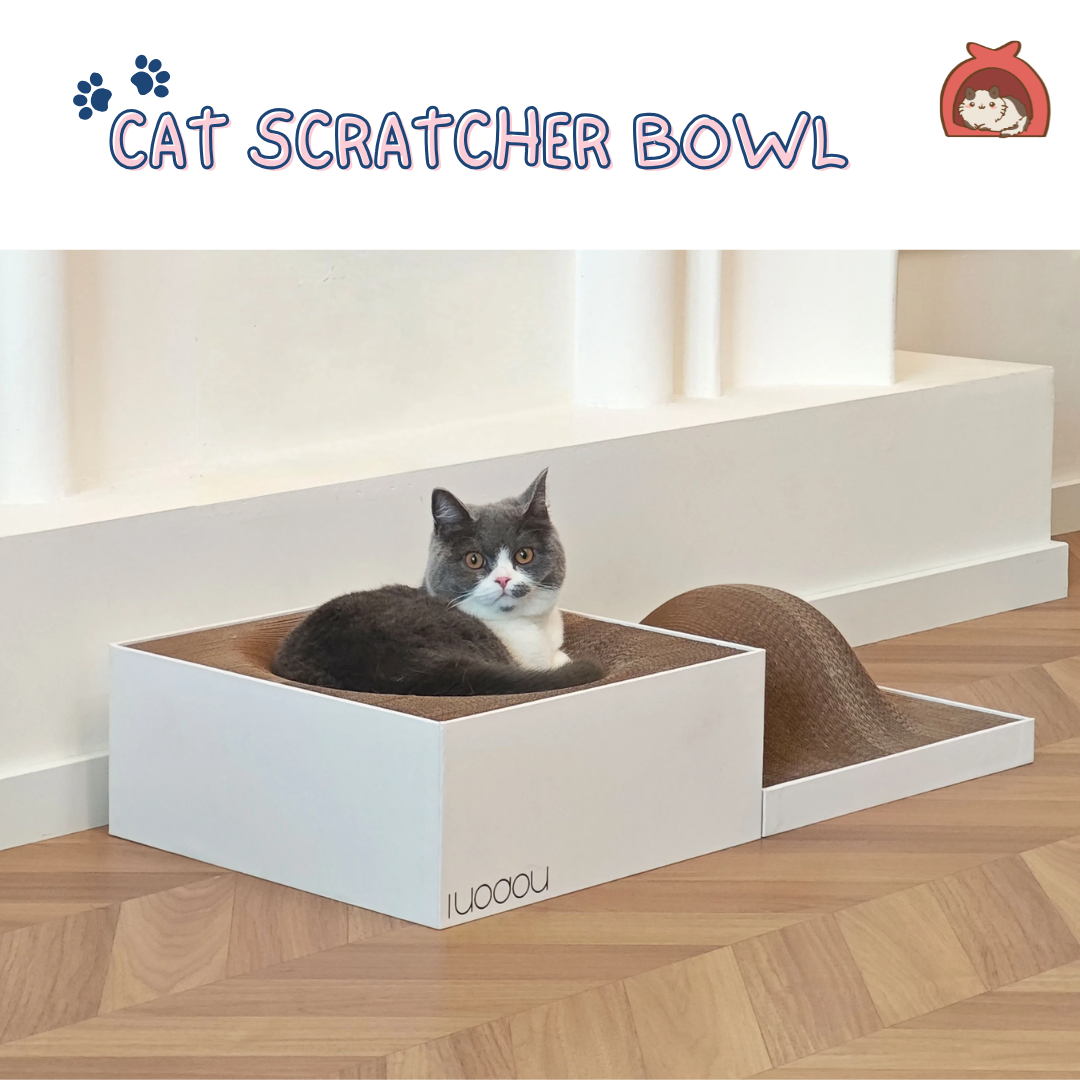 Catto Bowl Scratcher