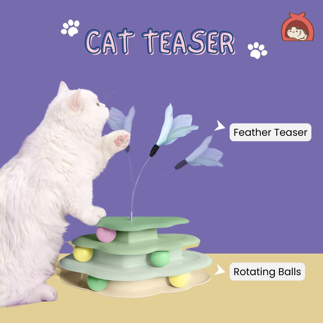Cat Teaser Cloud Toy